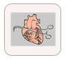 Cardiovascular Surgery