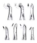 Tooth Extracting Forceps