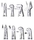 Extracting Forceps