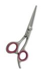 Barbar scissors